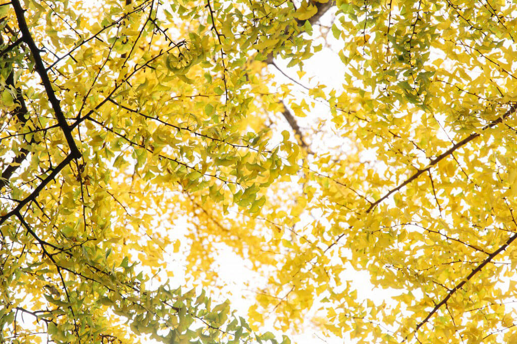 blog_016_001